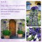 4 Pack Violet Hanging Flowers Artificial Decor Outdoor(Purple)